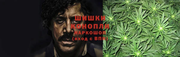 ПСИЛОЦИБИНОВЫЕ ГРИБЫ Верхнеуральск