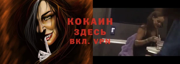 стаф Бугульма