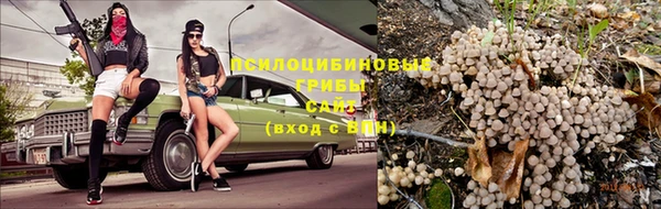 прущая мука Бронницы