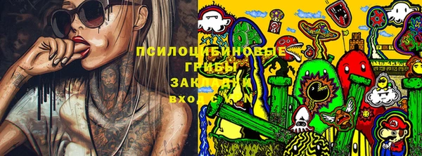стаф Бугульма