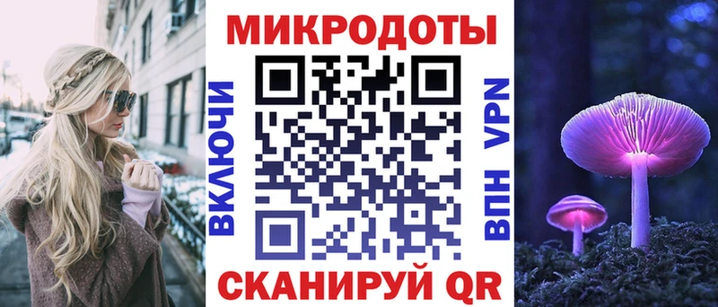 Псилоцибиновые грибы Psilocybe Карталы